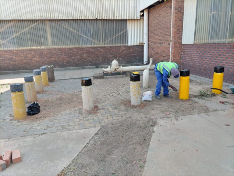 WhatsApp Image 2025-01-07 at 06.26.21